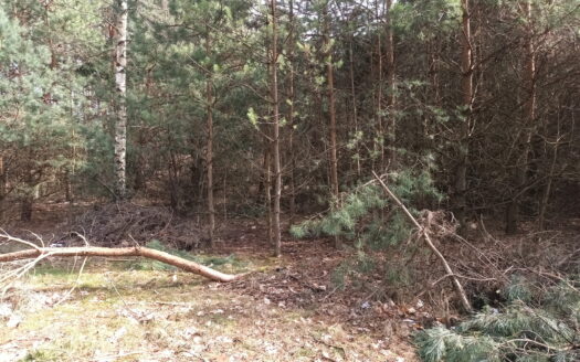 SPRZEDAM DZIAŁKĘ REKREACYJNĄ W OŻANNIE